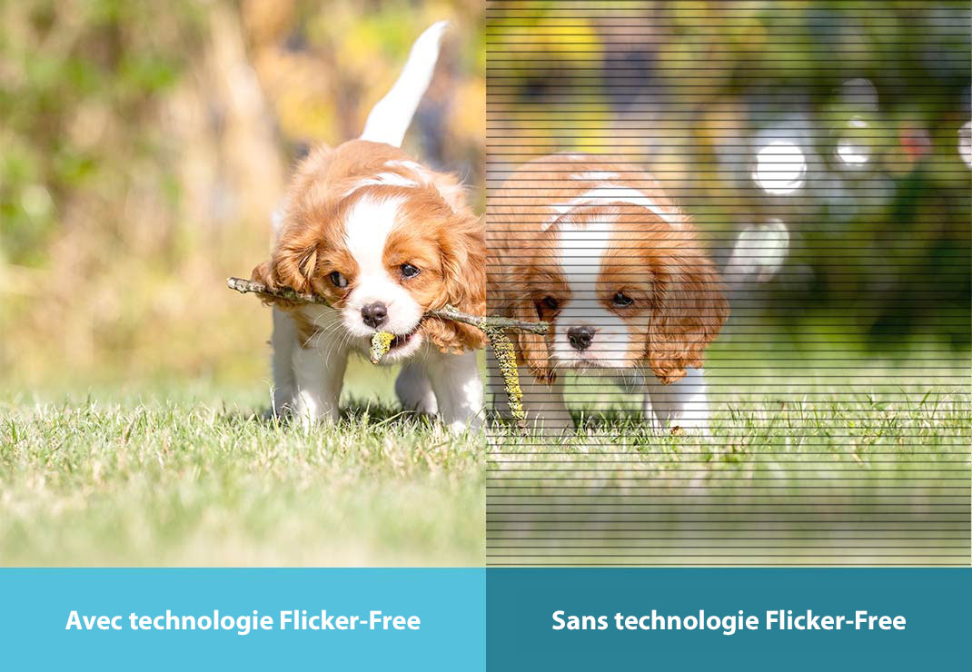 Technologie Flicker-Free